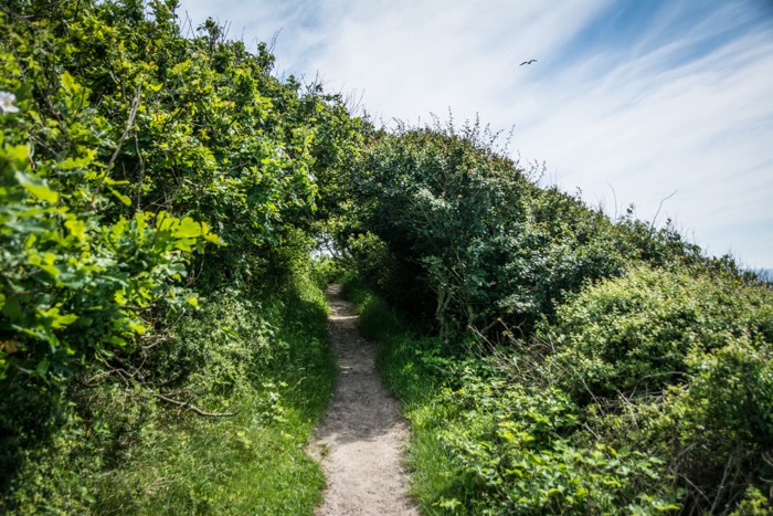 hammerknuden-vandretur-bornholm4