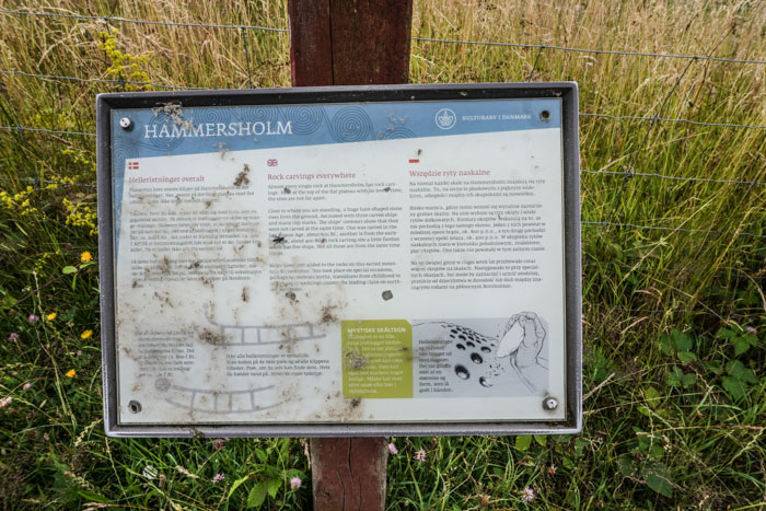 hammersholm-nordbornholm1