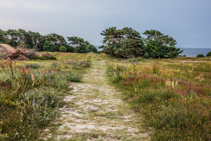 soemarken-oestre-vestre-bornholm1