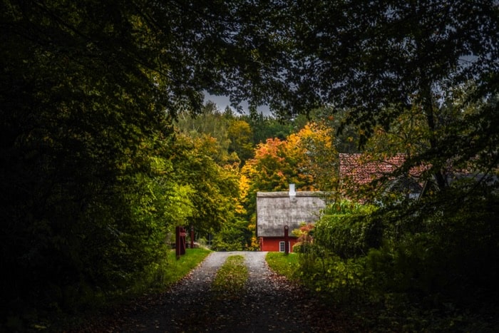 roe-plantage-gudhjem-bornholm