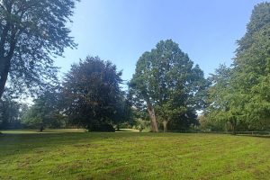 Kragebjergparken | Stadionparken i Rødovre