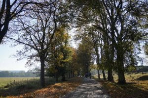 Voldgaden – Cykelstien langs Vestvolden