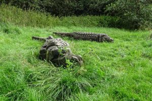 Verdensskoven i Gørding