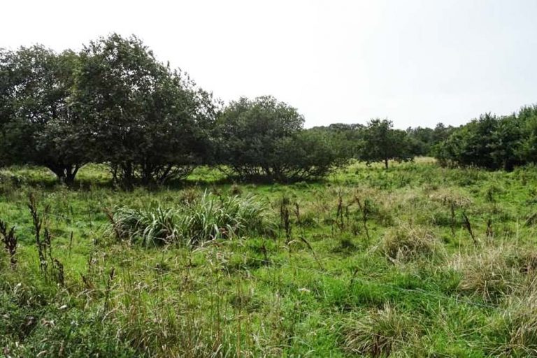Verdensskoven i Gørding med legepladser, dyreskulpturer og smuk natur. Perfekt for familier, der ønsker eventyr og afslapning i naturen.
