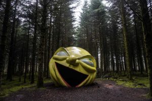 Deep Forest Art Land
