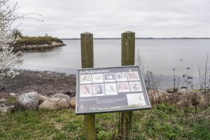 Kystagerparken i Hvidovre