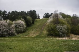 Bjerget i Kystagerparken