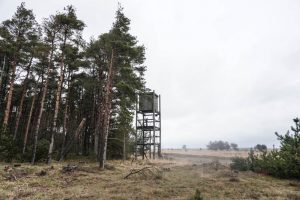 Borris Skydeterræn