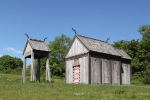 Moesgaard | Museum