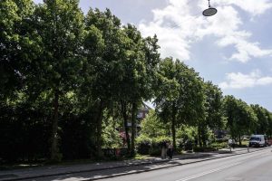 Stengadeparken på Nørrebro