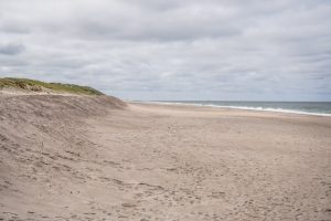 Vejlby Klit ved Vesterhavet
