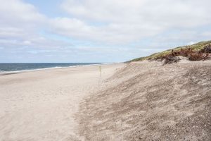 Vrist Strand v/ Vesterhavet