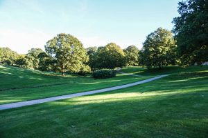 Aarhus Universitetspark