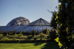 Væksthusene i Botanisk Have i Aarhus