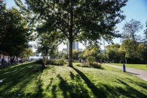 Cereshaven | Åparken i Aarhus