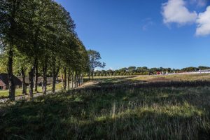 Danmarkslunden v/ Moesgaard