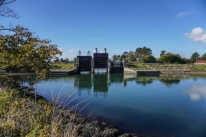 Dæmningen ved Norsminde Havn