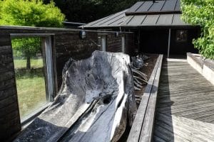 Gram Lergrav | Naturhistoriske Museum