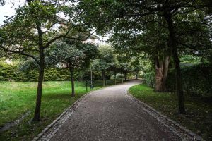 Søfrontsparken ved Sankt Jørgens Sø