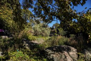 Stenpartiet i Botanisk Have i Aarhus