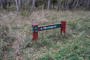 Ellevehøjevej ved Kalvebod Fælled
