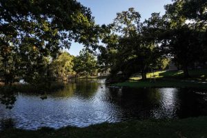 Universitetssøen i Aarhus Universitetspark
