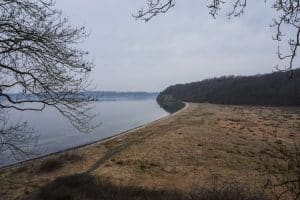 Hindsgavlskoven på Fyn