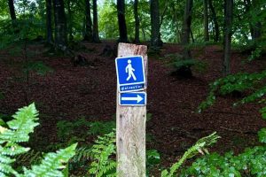 Kalvøstien – vandrute i Sønderjylland