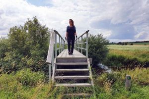 Bro over Lerkenfeld Å