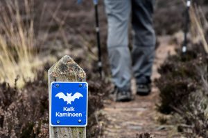 Kalk Kaminoen ved Mønsted