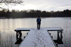 Kobberdam ved Hellebæk