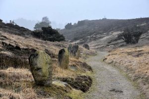 Kongenshus Mindepark