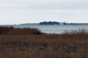 Lindholm – ø i Stege Bugt