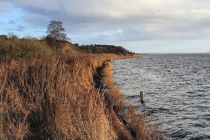 Lovns Halvø i Limfjorden