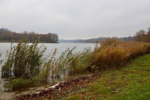 Skarresø ved Jyderup