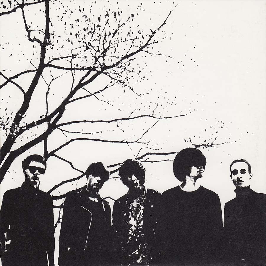 The Horrors