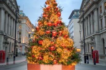 Красивые рождественские елки Лондона 2022