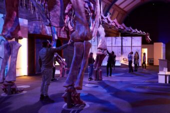 Выставка «Титанозавр: жизнь самого большого динозавра»