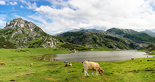 Lago Covadonga