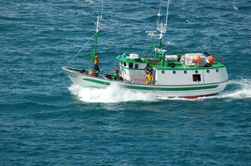 Barco pesca