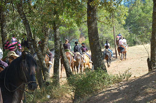 Ruta a caballo Ruta a caballo