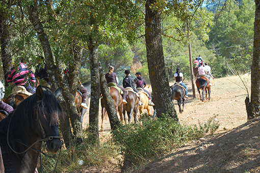 Ruta a caballo