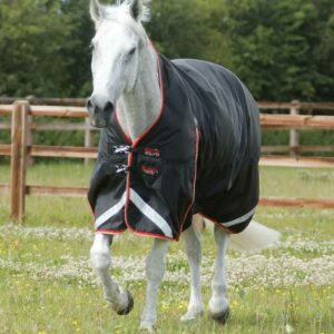 Premier Equine Buster Hardy Turnout Rug 100g Wither Pressure Relief