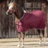 Premier Equine Buster Waffle Cooler - pony burgundy