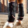 Premier Equine Quick Dry Leg Wraps - Par - Sort, XLarge