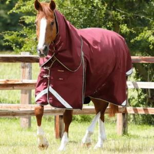 Premier Equine Buster Zero 0g med aftagelig hals - Burgundy