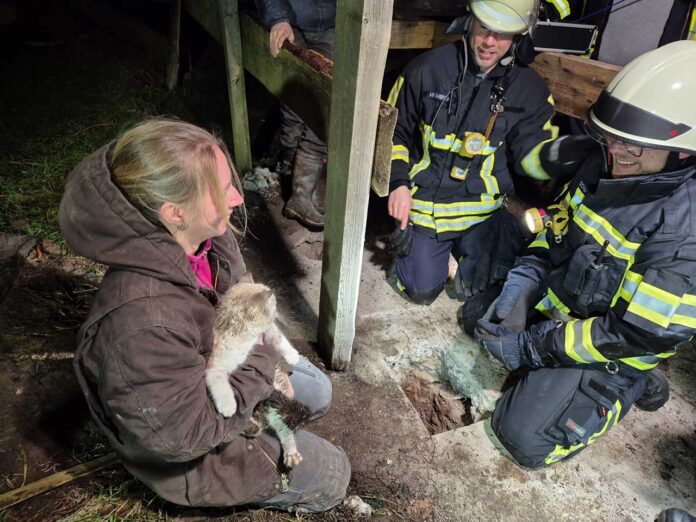 Feuerwehr rettet Kätzchen aus Abwassersystem