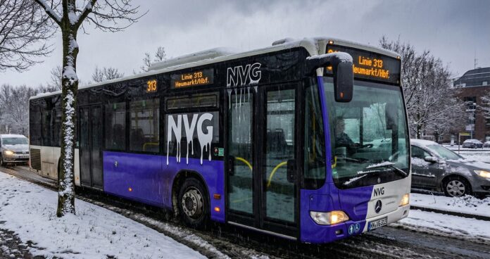 nvg winter