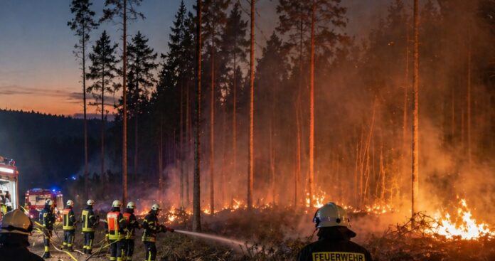 waldbrand