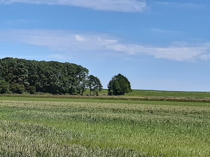 Friesland